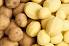 Premium Table Potatoes