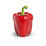 Fresh Red Bell Pepper